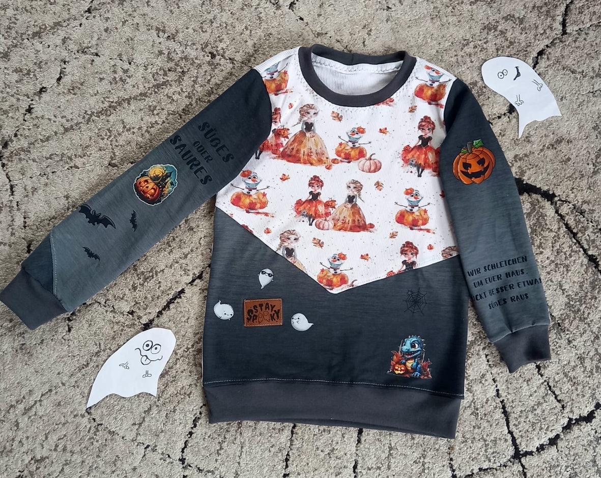 ein schöner selbst genähter Kinder Pullover mit dem Prinzessinnen Motiven
