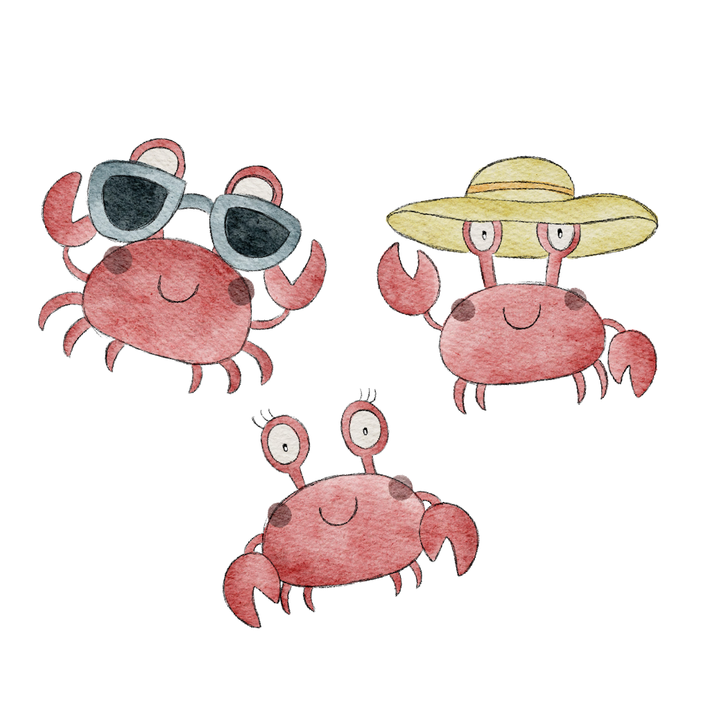 Bügelbild Bogen Strand Krabben