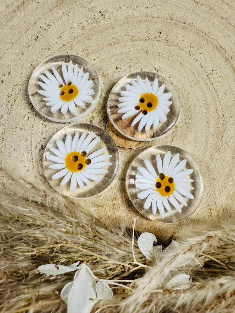 runder Kunststoff Knopf mit einem abgebildeten Gänseblümchen