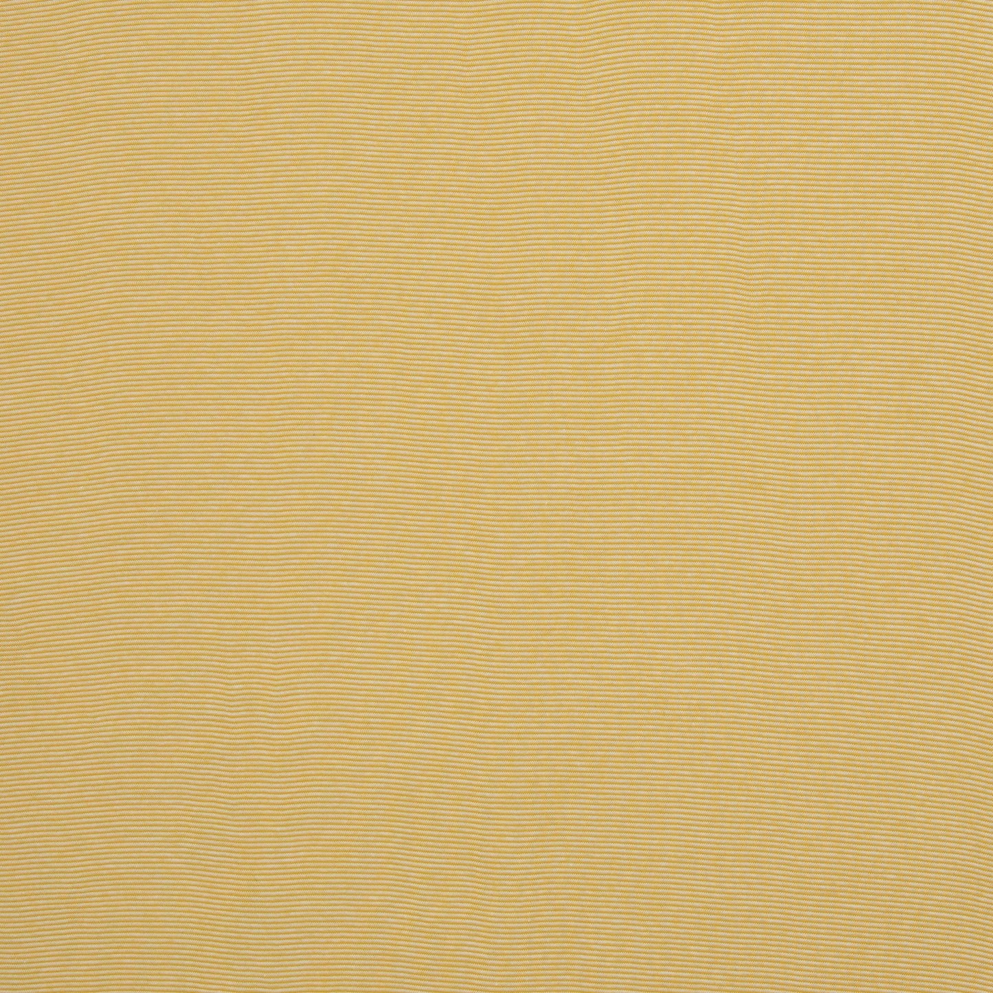 Bündchen Stoff Stella in der Farbe Goldgelb Weiss Normalansicht