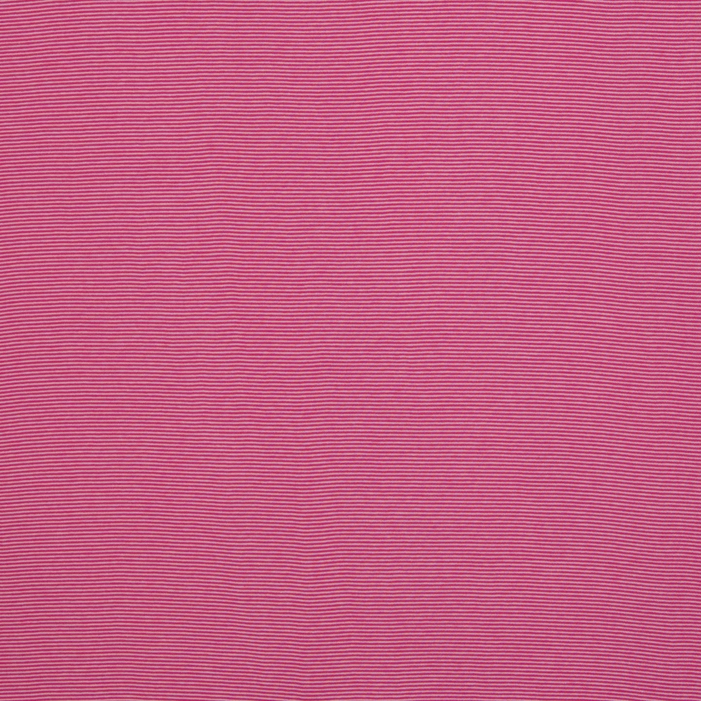 Bündchen StoffStella in der Farbe Rosa Erika Normalansicht