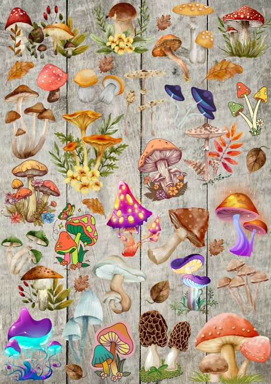 Bügelbild Bogen mit verschiedenen Pilz Motiven
