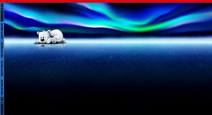 Stoff Sweat Eisbär Polarlichter Panel by Thorsten Berger